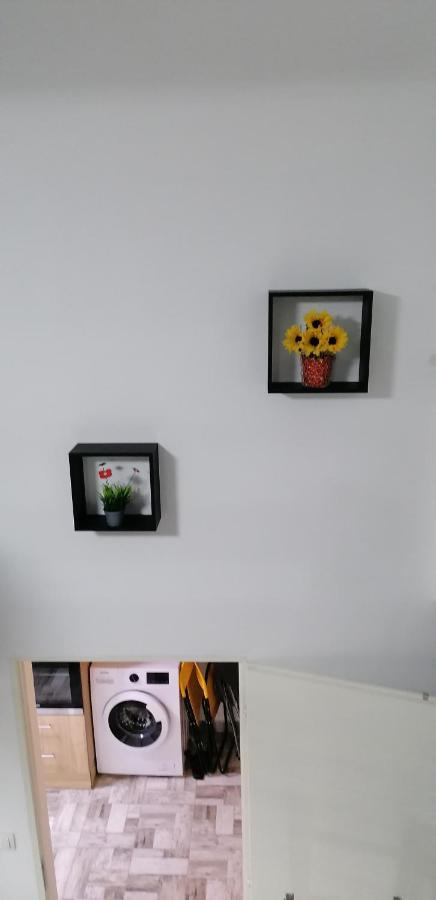 Little-Oasis Apartment ブダペスト エクステリア 写真
